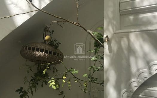 Maison dans la medina (Assilah)