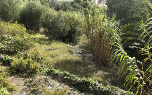 Terrain à la Vieille Montagne (Tanger)