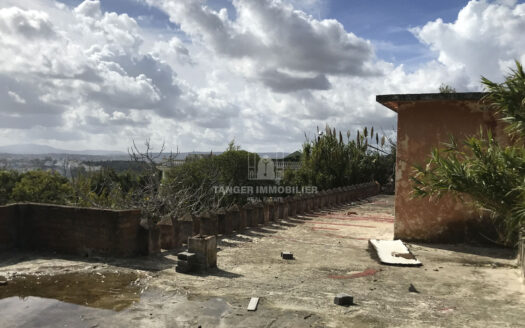 Terrain à la Vieille Montagne (Tanger)