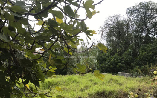 Terrain à la Vieille Montagne (Tanger)