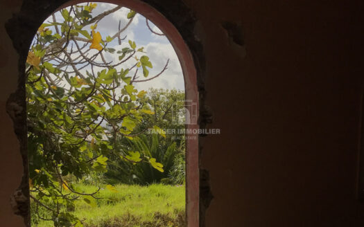 Terrain à la Vieille Montagne (Tanger)