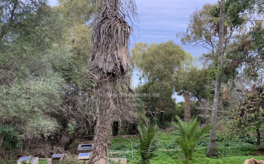 Maison à rénover à Marshan (Tanger)