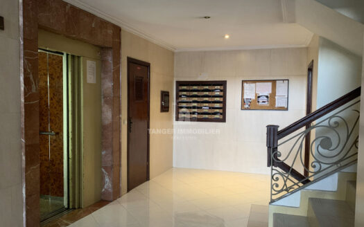 Bel appartement semi-meublé en centre-ville (Tanger)