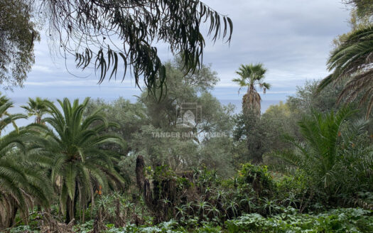 Maison à rénover à Marshan (Tanger)