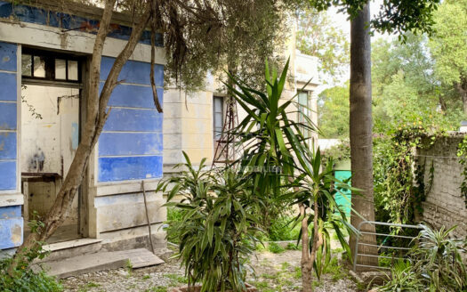 Maison authentique à rénover en centre-ville (Tanger)