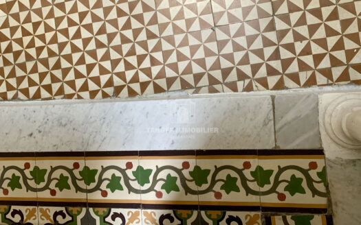 Maison authentique dans la medina (Tanger)