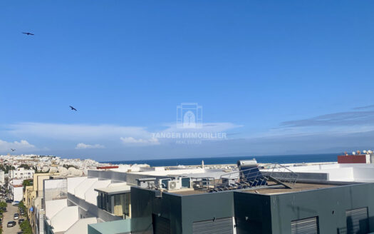 Appartement en centre-ville (Tanger)