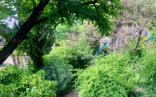 Maison avec jardin en centre-ville (Tanger)