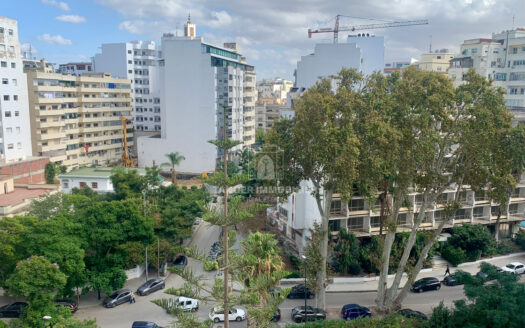 Appartement meublé à Iberia (Tanger)