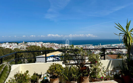 Duplex en centre-ville (Tanger)