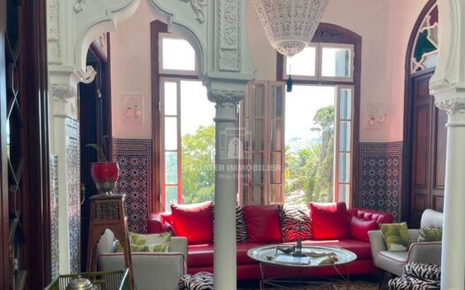 Maison meublée dans la medina (Tanger)